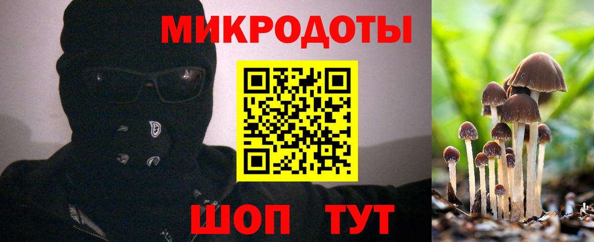 Галлюциногенные грибы мицелий Холмск